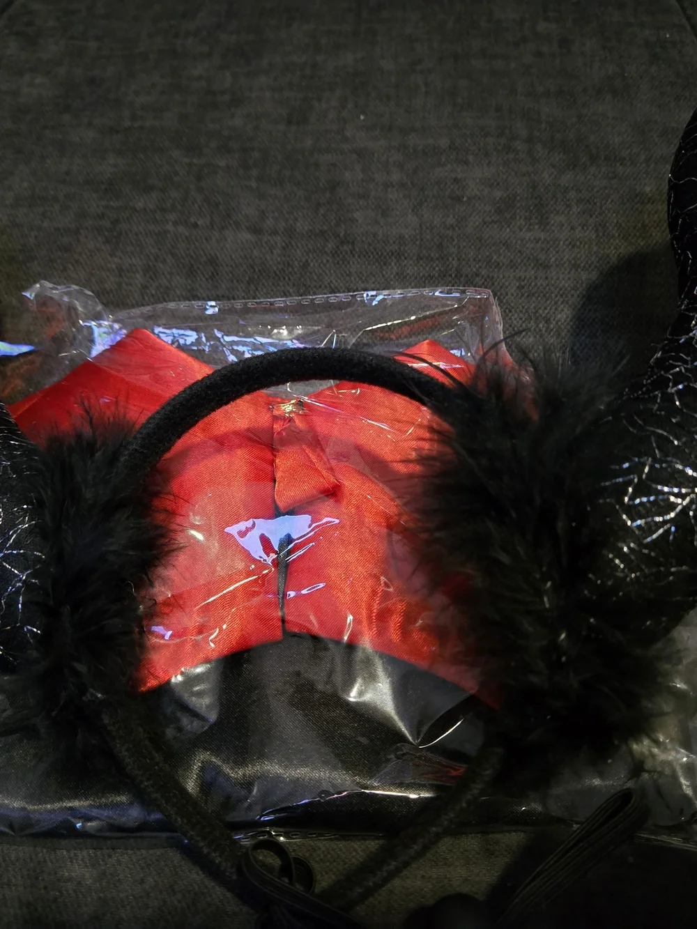 Pet Costume